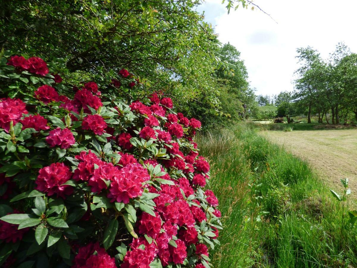 Heronlea Cottage Dunoon Bagian luar foto