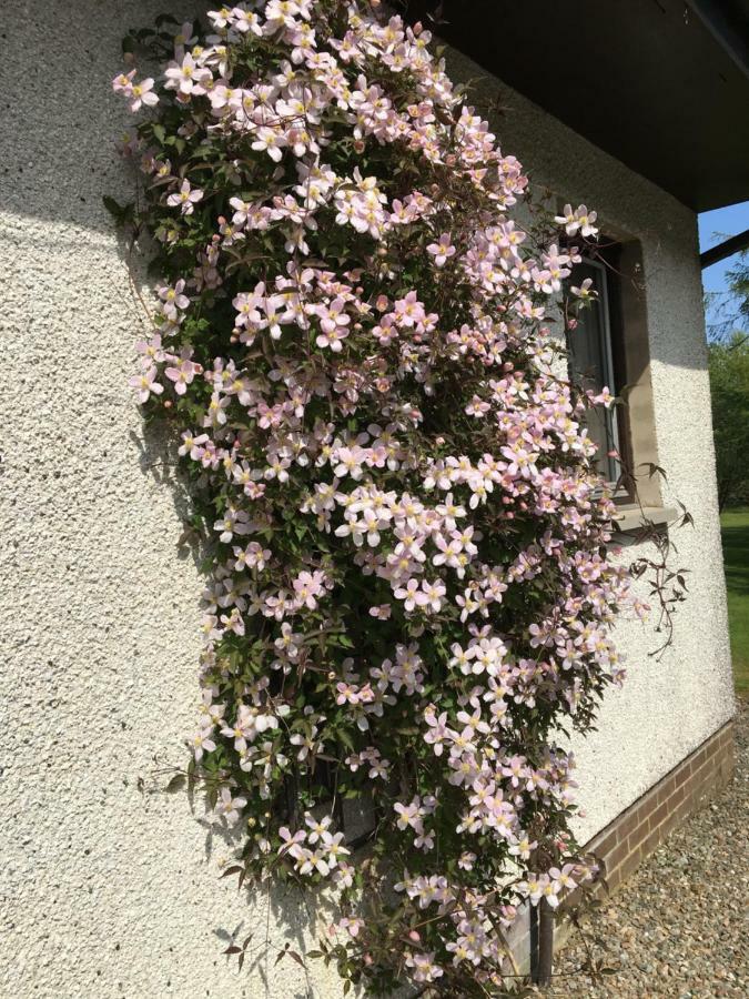 Heronlea Cottage Dunoon Bagian luar foto